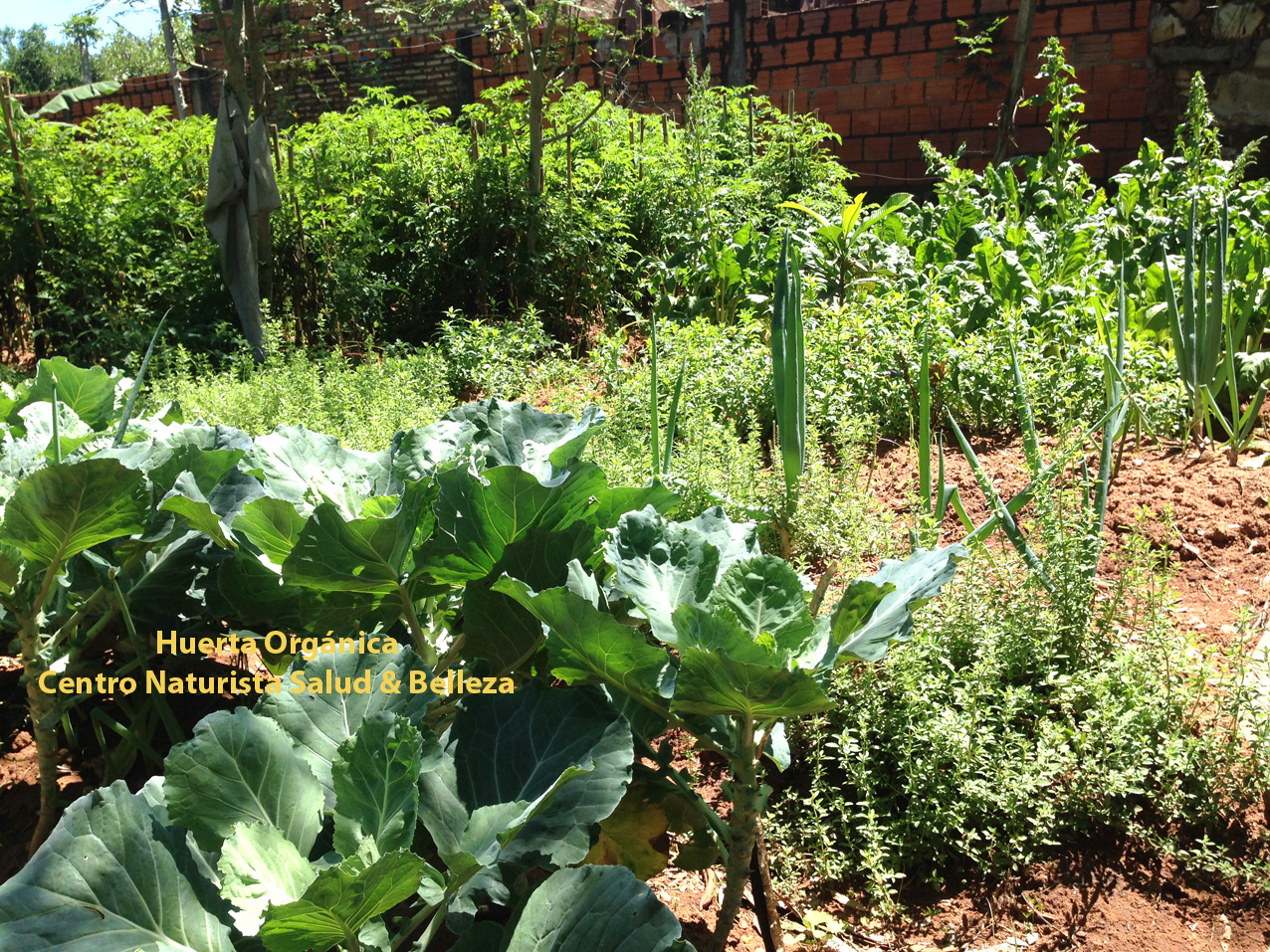 VIVERO MEDICINAL ORGÁNICO – CENTRO NATURISTA